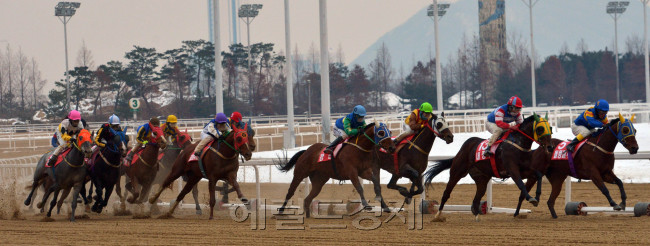 헤럴드경제 경마<br />김명섭 기자 msiron@heraldcorp.com
헤럴드경제 경마
김명섭 기자 msiron@heraldcorp.com