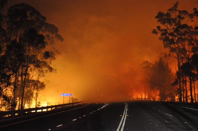 A wildfire near Deans Gap, Australia, crosses the Princes Highway on Tuesday.   AP-Yonhap News