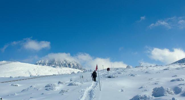 Trekkers climb snowy Mt. Hallasan (Hallasan National Park)