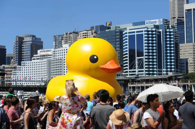 A gigantic, yellow rubber duck by Dutch artist Florentijn Hofman, floated into Sydney’s Darling Harbor on Jan. 5.   AFP-Yonhap News