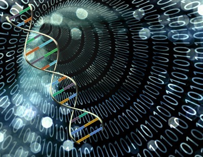 Two stranded DNA. (123rf)