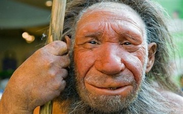 Picture of an assumed Neanderthal from 'Neanderthal Museum' (Telegraph)