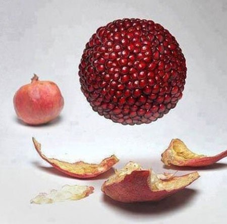 사진=온라인 커뮤니티