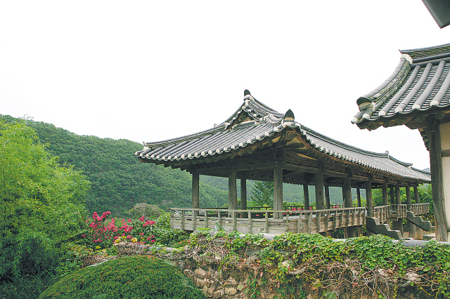 Byeongsan Seowon in Andong, North Gyeongsang Province (Korea Tourism Organization)