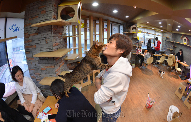 Customers cuddle with cats at Cat Attic Caf in Myeongdong, Seoul.   Lee Sang-sub/The Korea Herald