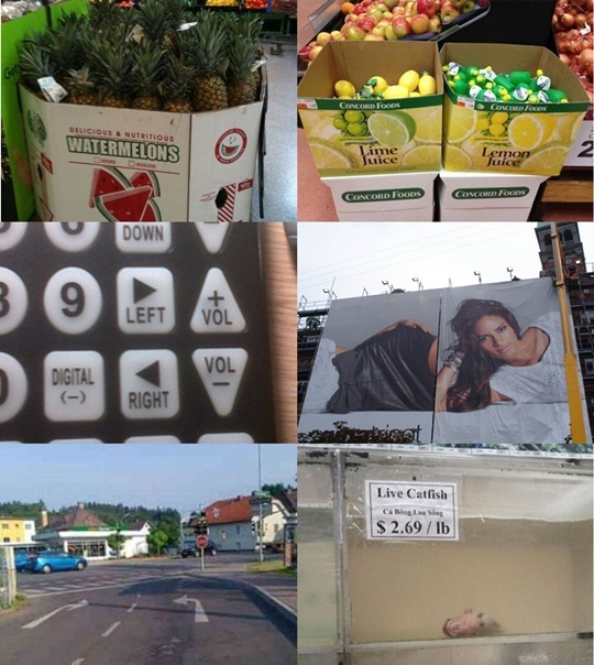 사진=온라인커뮤니티