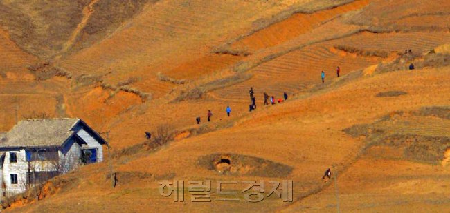 한미 키리졸브 훈련이 개시되고 북한이 정전협정 백지화를 선언해 남북관계가 살얼음판을 걷는 가운데 11일 오전 북한 황해북도 개풍군 지역의 북한 주민들이 단체로 작업을 하고 있다. 파주=박해묵 기자/mook@heraldcorp.com
한미 키리졸브 훈련이 개시되고 북한이 정전협정 백지화를 선언해 남북관계가 살얼음판을 걷는 가운데 11일 오전 북한 황해북도 개풍군 지역의 북한 주민들이 단체로 작업을 하고 있다. 파주=박해묵 기자/mook@heraldcorp.com