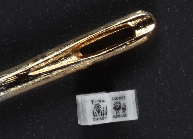 This undated handout picture released by Japan's printing giant Toppan Printing on March 13, 2013 shows the company's printed book next to a needle tip. (AFP)