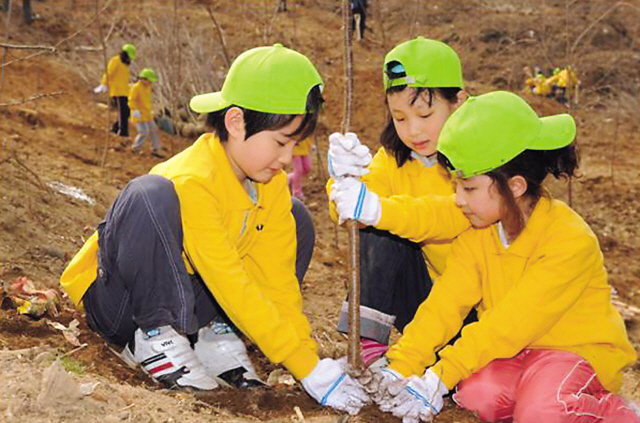 Children plant a tree on a mountain. (KFS)