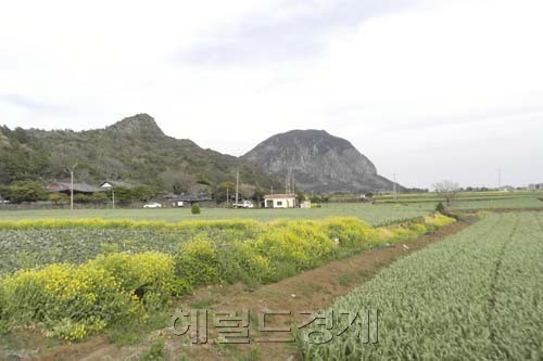 고통의 유배지…뭍사람의 ‘안식처’ 되다