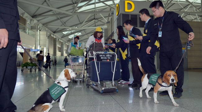 Quarantine inspectors distribute leaflets about preventive measures against bird flu to passengers at Incheon International Airport on Thursday.   Kim Myung-sub/The Korea Herald