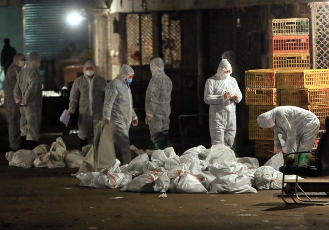 Chinese health workers collect the bags of dead chickens at Huhuai wholesale agricultural market in Shanghai on Friday.   AFP-Yonhap News