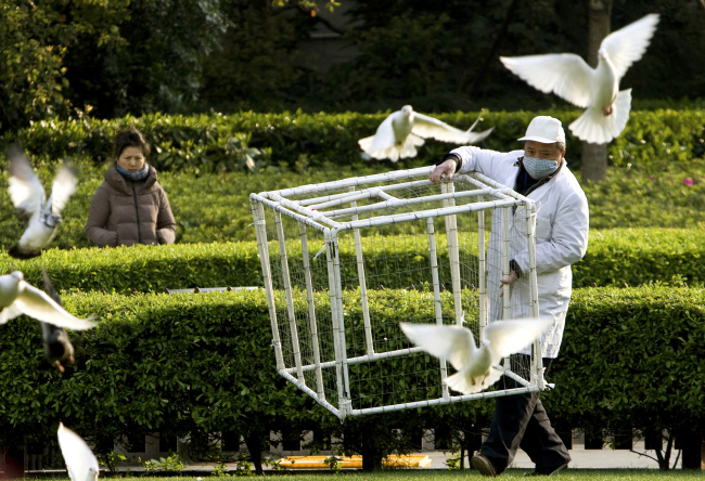 A worker carries a cage to catch pigeons at the People’s Square as a precautionary measure against bird flu in Shanghai on Saturday.   AP-Yonhap News