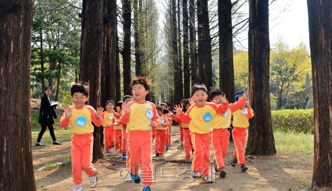 24일 오전 서초구 문화예술공원에서 서초구관내구립 어린이집 어린이 천여명이 꿈나무튼튼하마당큰잔치 행사를 가졌다. 어린이들이 메타세쿼이어길을 달리고 있다.<br />이상섭 기자. babtong@heraldcorp.com 2013.04.24
24일 오전 서초구 문화예술공원에서 서초구관내구립 어린이집 어린이 천여명이 꿈나무튼튼하마당큰잔치 행사를 가졌다. 어린이들이 메타세쿼이어길을 달리고 있다.
이상섭 기자. babtong@heraldcorp.com 2013.04.24