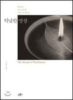 틱낫한 스님이 들려주는 참 행복