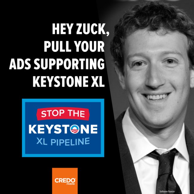CREDO's advertisement with Mark Zuckerberg's photo (CREDO's official Facebook page)