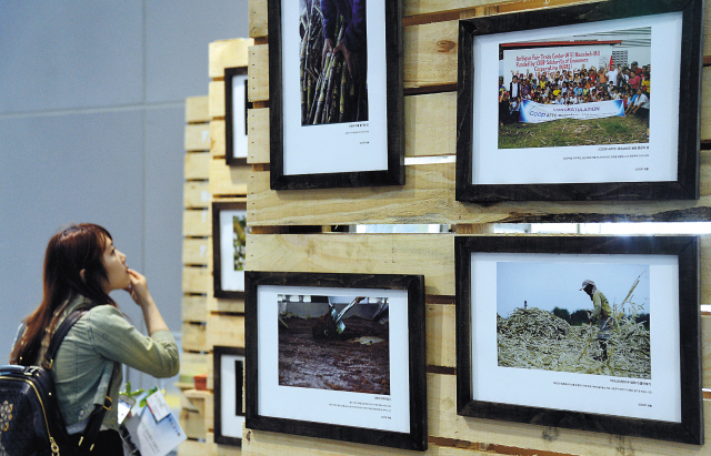 Fair trade finds feet in Korea