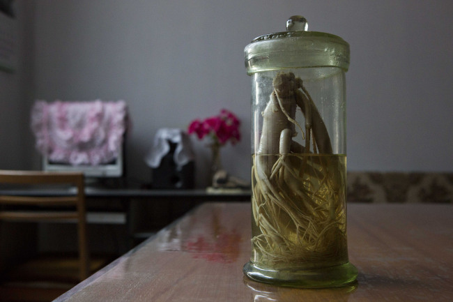 <YONHAP PHOTO-0380> In this Feb. 21, 2013 photo, a jar containing a fat-preserved ginseng root believed to be a century old is seen at the Pyongyang Medical College in Pyongyang, North Korea. Traditional medicine is used widely in many Asian countries, including China, Japan and South Korea, where there is no shortage of modern treatment and equipment. And while scientific research regarding the benefits of some age-old treatments is lacking, therapies such as massage and acupuncture - which can also serve as a local anesthetic - are now widely used in the West. (AP Photo/David Guttenfelder)/2013-05-04 12:34:25/ <저작권자 ⓒ 1980-2013 ㈜연합뉴스. 무단 전재 재배포 금지.>
A jar containing a fat-preserved ginseng root is seen at the Pyongyang Medical College in Pyongyang.
AP-Yonhap News