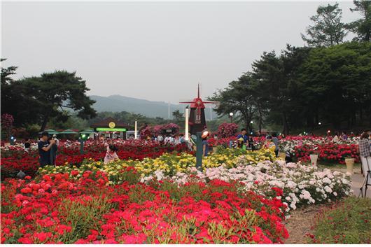본격적인 무더위 여름철을 앞두고 너무 기온이 높지도, 습하지도 않은 이번 주말엔 가족, 연인과 함께 꽃 축제에 다녀오는 건 어떨까. 서울 곳곳에 만개한 형형색색의 장미와 붓꽃이 청량함 가득한 싱그러움을 전해준다.