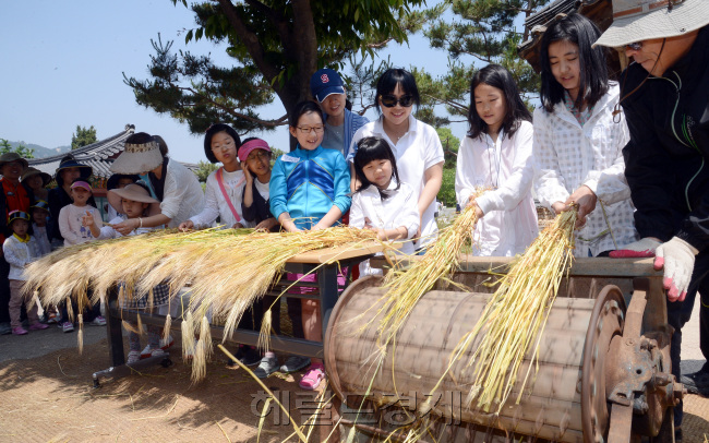9일 오전 서울 종로구 국립민속박물관을 찾은 어린이들이 부모님과 함께 보리탈곡 체험을 하고 있다. 보리 수확기는 이삭이 나온 후 35일이 지난 망종(6월5일) 무렵이다./안훈기자 rosedale@ 2013.06.09
9일 오전 서울 종로구 국립민속박물관을 찾은 어린이들이 부모님과 함께 보리탈곡 체험을 하고 있다. 보리 수확기는 이삭이 나온 후 35일이 지난 망종(6월5일) 무렵이다./안훈기자 rosedale@ 2013.06.09
9일 오전 서울 종로구 국립민속박물관을 찾은 어린이들이 부모님과 함께 보리탈곡 체험을 하고 있다. 보리 수확기는 이삭이 나온 후 35일이 지난 망종(6월5일) 무렵이다./안훈기자 rosedale@ 2013.06.09
