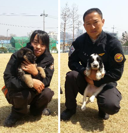 Two dogs cloned by former stem-cell scientist Hwang Woo-suk of the Sooam Biotech Research Foundation will be donated to the National 119 Rescue Service.   Yonhap News
Two dogs cloned by former stem-cell scientist Hwang Woo-suk of the Sooam Biotech Research Foundation will be donated to the National 119 Rescue Service.   Yonhap News