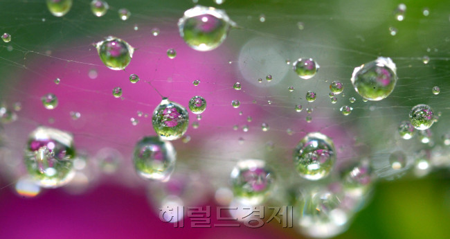 [사진=헤럴드경제DB]