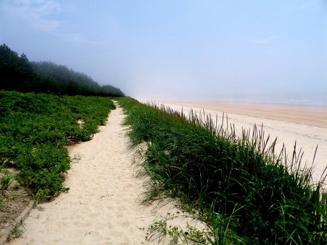 Solmoraegil, one of the seaside walking trail courses in Taean, South Chungcheong Province.  Claire Lee/The Korea Herald