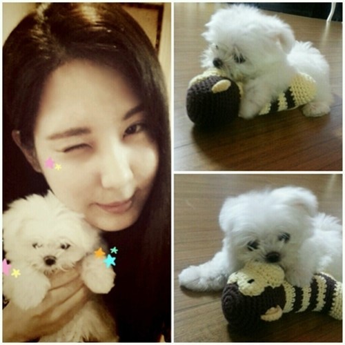 서현(서주현/가수/소녀시대)
서현은 3일 소녀시대 공식 홈페이지에 “안녕안녕~ 서현이에요! 어제 서현이의 새로운 식구가 생겼어요!”라는 글과 함께 한 장의 사진을 공개했다.
