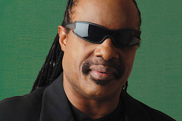 스티비원더(StevieWonder/가수)
흑인청소년을 살해한 20대 백인에게 무죄 평결이 내려지자 미국내 연예인들도 비판에 나섰다.
