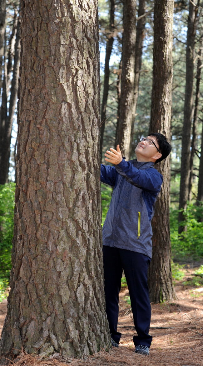 KFS Minister Shin Won-sop looks at a tree.   KFS