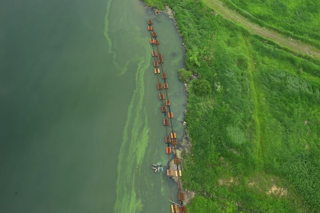 An aerial picture from June shows algal blooms in the Nakdong River in South Gyeongsang Province. Civic environmental groups claim former President Lee Myung-bak’s four-river restoration project has damaged the rivers’ ecosystems. Yonhap News