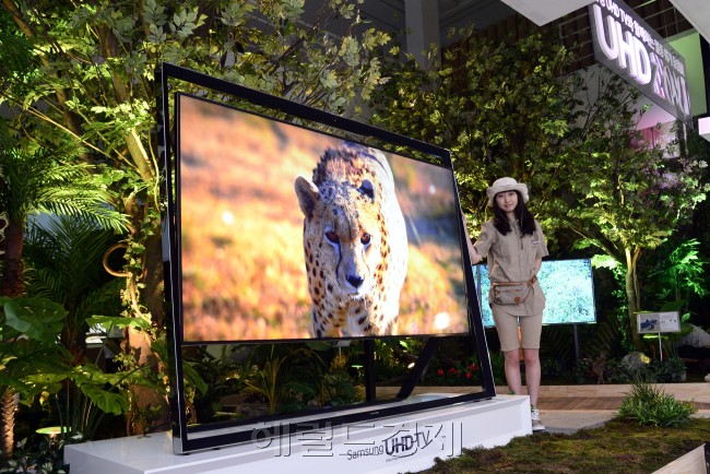 삼성전자가 8일 오전 서울 청담동 비욘드뮤지엄에서  삼성 UHD TV와 함께하는  멸종위기동물전 <UHD ZOO> 를 개최하고 있다. 이번 전시회는 아프리카의 멸종위기동물을  UHD화질로 담아 많은 사람과 공유하기 위해 마련됐다. 박해묵 기자/mook@heraldcorp.com
삼성전자가 8일 오전 서울 청담동 비욘드뮤지엄에서  삼성 UHD TV와 함께하는  멸종위기동물전 <UHD ZOO> 를 개최하고 있다. 이번 전시회는 아프리카의 멸종위기동물을  UHD화질로 담아 많은 사람과 공유하기 위해 마련됐다. 박해묵 기자/mook@heraldcorp.com
삼성전자가 8일 오전 서울 청담동 비욘드뮤지엄에서  삼성 UHD TV와 함께하는  멸종위기동물전 <UHD ZOO> 를 개최하고 있다. 이번 전시회는 아프리카의 멸종위기동물을  UHD화질로 담아 많은 사람과 공유하기 위해 마련됐다. 박해묵 기자/mook@heraldcorp.com
