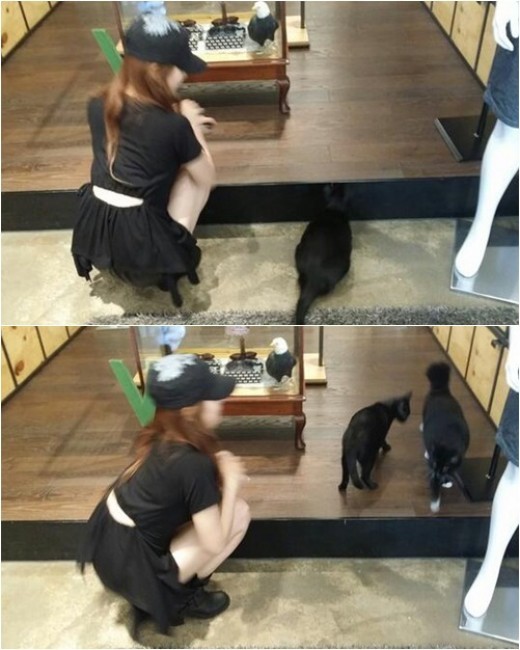 수지(배수지/가수/미쓰에이)
수지는 지난 9일 자신의 트위터에 “귀요미들. 누가 고양이고 누가 사람인지 모르겠다”는 글과 함께 자신의 뒷모습이 담긴 사진을 공개했다.