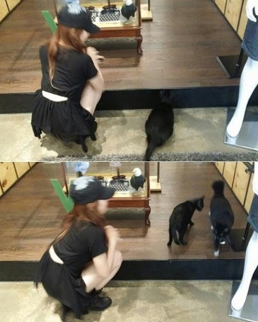 수지(배수지/가수/미쓰에이)
수지는 지난 9일 자신의 트위터에 “귀요미들. 누가 고양이고 누가 사람인지 모르겠다”는 글과 함께 자신의 뒷모습이 담긴 사진을 공개했다.