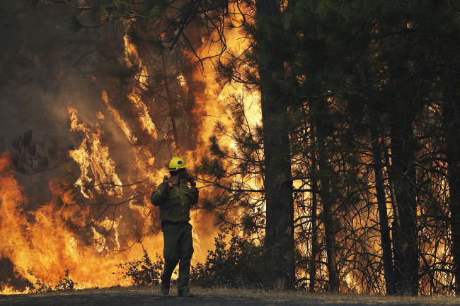A firefighter watches the flames of the Rim Fire near Yosemite National Park, California, Sunday.   AP-Yonhap News