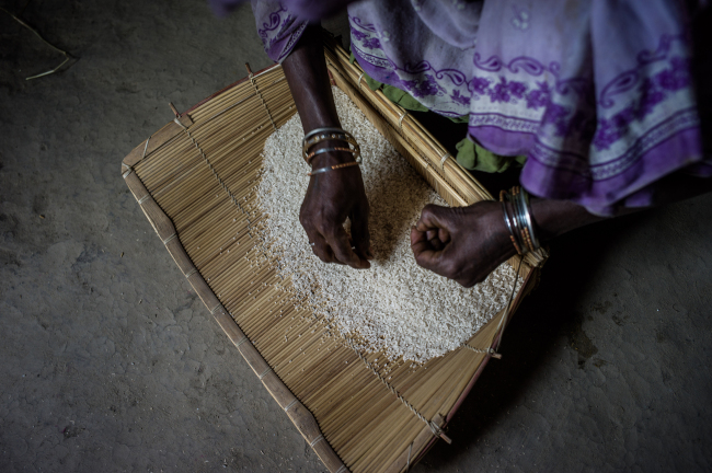 A woman cleans rice in the village of Paltupur, Uttar Pradesh, India.    Bloomberg