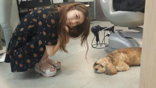 수지(배수지/가수/미쓰에이)
수지는 지난 20일 자신의 트위터에 “아랑곳 하지 않고 친한 척 사진찍기”라는 글과 함께 사진을 게재했다.
