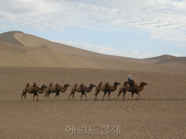 <트래블>둔황...실크로드의 신비와 낭만을 간직한 오아시스