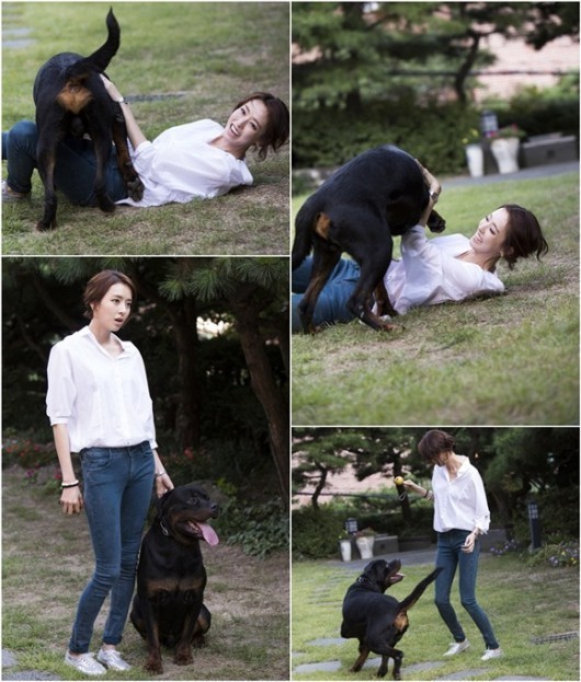 이다희(탤런트/영화배우)
맹견과 즐거운 한 때를 보내고 있는 이다희의 촬영 현장이 포착됐다.