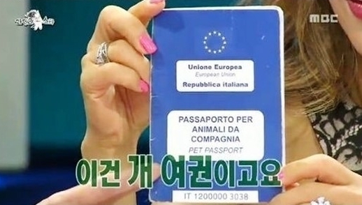 조수미(성악가)
성악가 조수미가 반려견에 대한 남다른 애정을 과시했다.