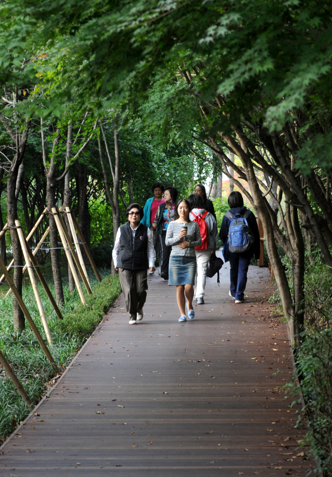 매봉산 올레길.<br />이상섭기자. babtong@heraldm.com<br />2010.10.12
매봉산 올레길.
이상섭기자. babtong@heraldm.com
2010.10.12