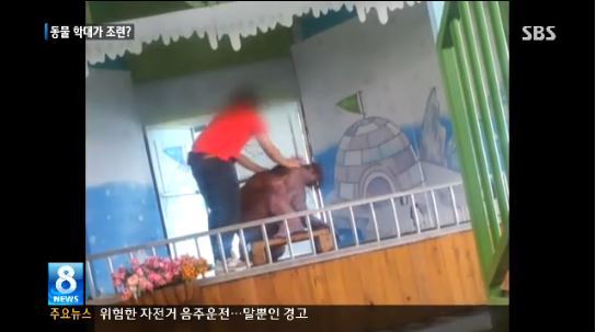 바다코끼리를 조련하는 과정에서 목을 조르고 발로 차는 등 가혹 행위를 해 논란을 빚은 동물원 측이 해당 조련사를 해고 조치했다