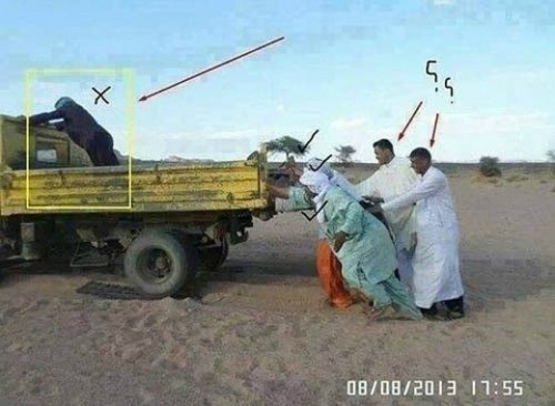 게시물 ‘게으름뱅이 친구들’ 사진이 눈길을 끌고 있다