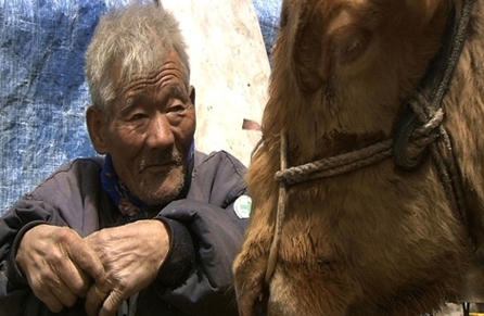 워낭소리 할아버지 별세 소식에 애도의 물결이 이어지고 있다.