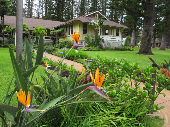 The Hotel Lana’i was erected in 1923 as a retreat for Dole pineapple
executives and guests on Lanai in Hawaii. (Seattle Times/MCT)