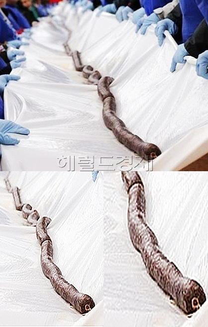 세계 최초로 가장 긴 순대가 등장해 누리꾼들의 이목을 사로 잡았다.