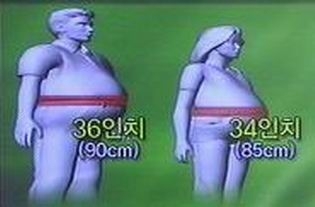 몸무게는 정상이지만 허리둘레는 비만인 이른바 ‘올챙이형 배’인 사람들의 당뇨병 발병위험이 정상인보다 두 배 이상 높은 것으로 나타났다.