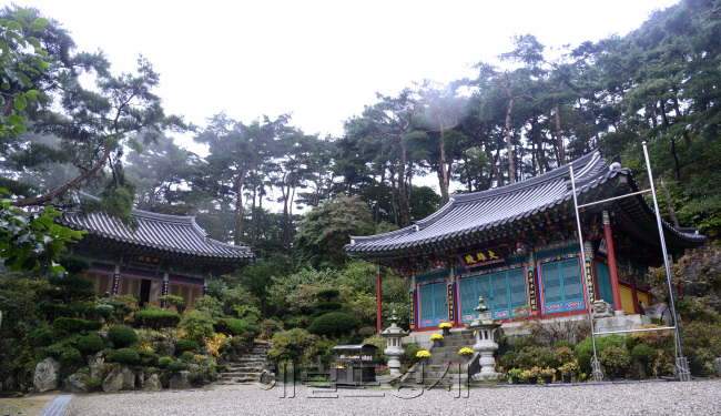 길 프로젝트-남한산성. 박해묵 기자/mook@heraldcorp.com
길 프로젝트-남한산성. 박해묵 기자/mook@heraldcorp.com
길 프로젝트-남한산성. 박해묵 기자/mook@heraldcorp.com