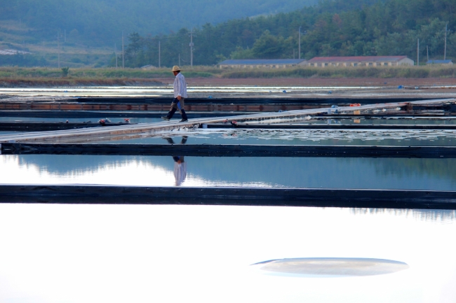 A local farmer tends to his salt at the Taepyeong Salt Farm in Jeungdo, South Jeolla Province. Julie Jackson/The Korea Herald