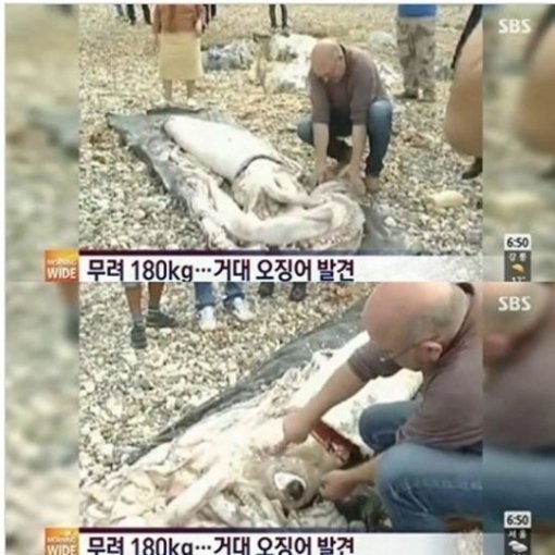 [사진=SBS]